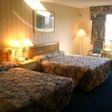 Oh St Joseph Resort Hotel Плезантвілл Номер фото